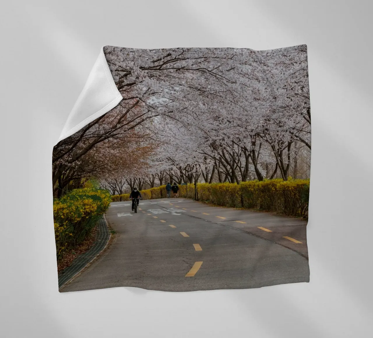 Fiori di ciliegio al Parco Haneul di Seul, Corea del Sud coperta in pile da mbgraphx2