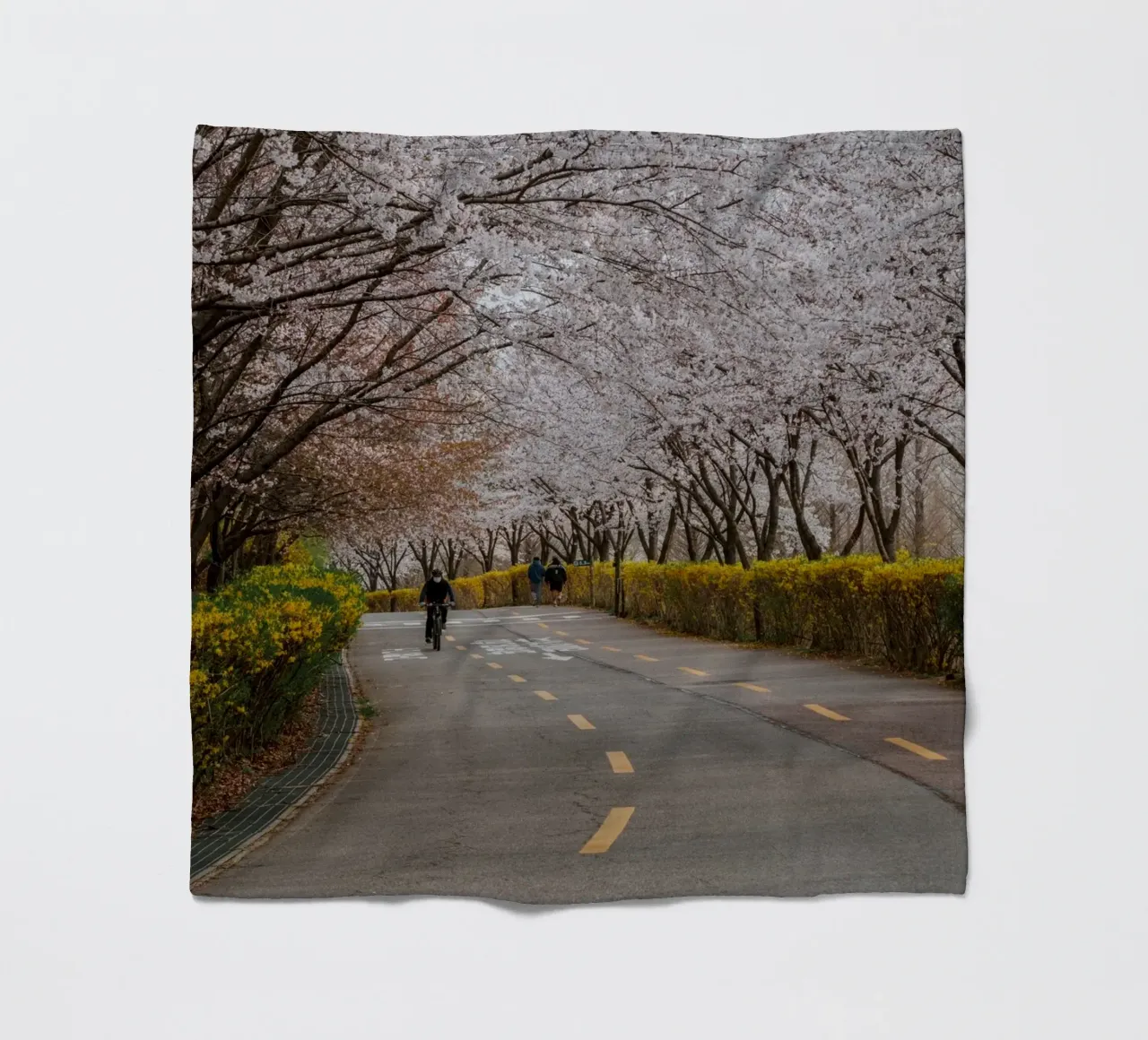 Fiori di ciliegio al Parco Haneul di Seul, Corea del Sud coperta in pile da mbgraphx2