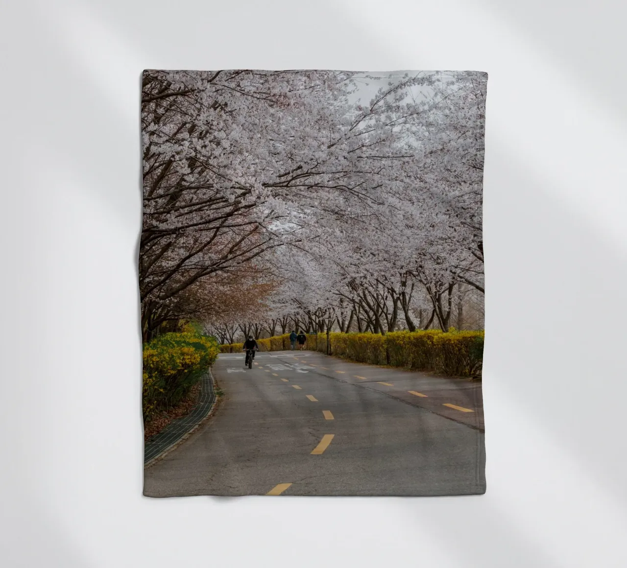 Fiori di ciliegio al Parco Haneul di Seul, Corea del Sud coperta in pile da mbgraphx2