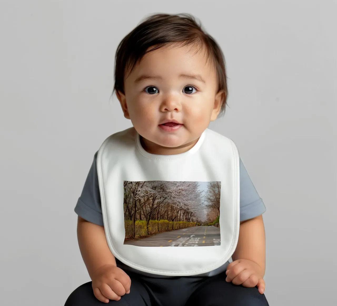 I ciliegi in fiore del Parco Haneul a Seul, Corea del Sud bavaglino da mbgraphx2