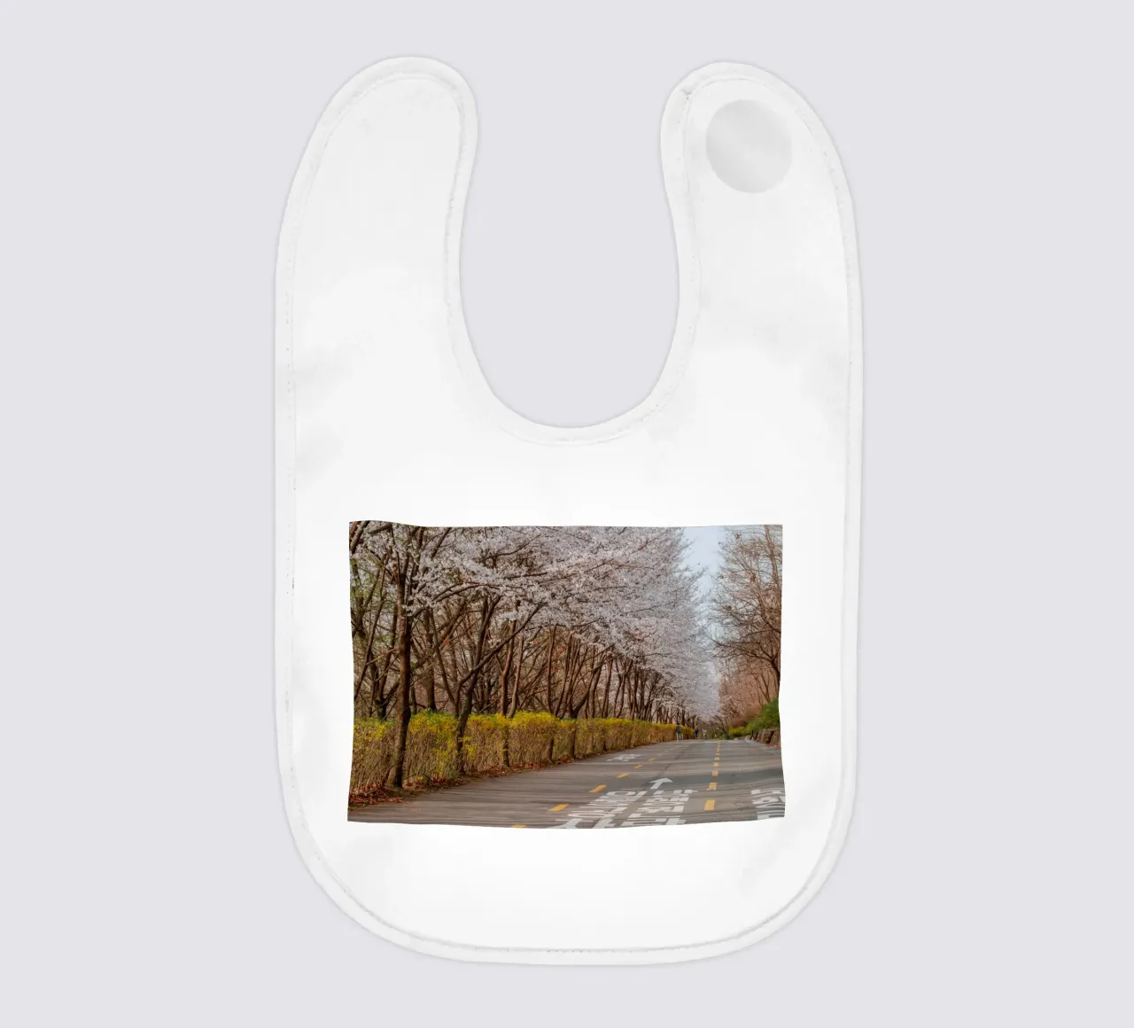 I ciliegi in fiore del Parco Haneul a Seul, Corea del Sud bavaglino da mbgraphx2