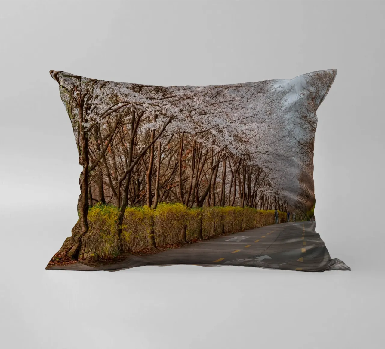 I ciliegi in fiore del Parco Haneul a Seul, Corea del Sud cuscino da mbgraphx2