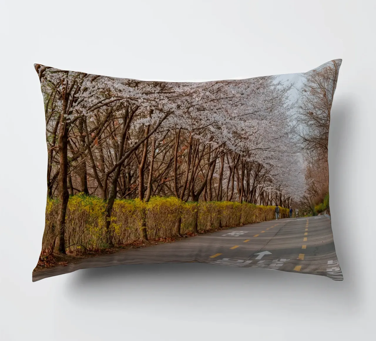 Haneul Park Kersenbloesems in Seoul, Zuid-Korea kussen van mbgraphx2