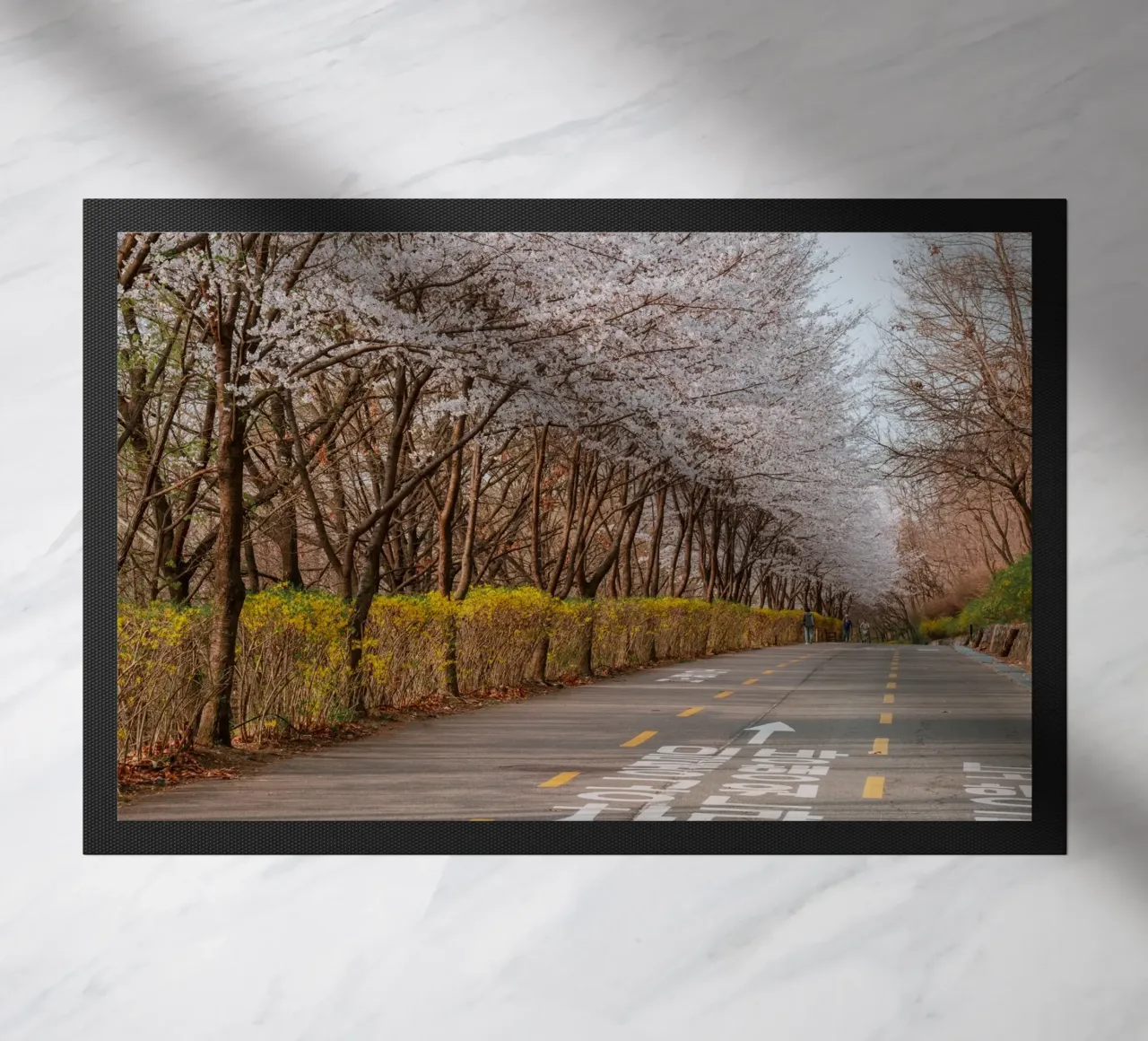 I ciliegi in fiore del Parco Haneul a Seul, Corea del Sud zerbino da mbgraphx2