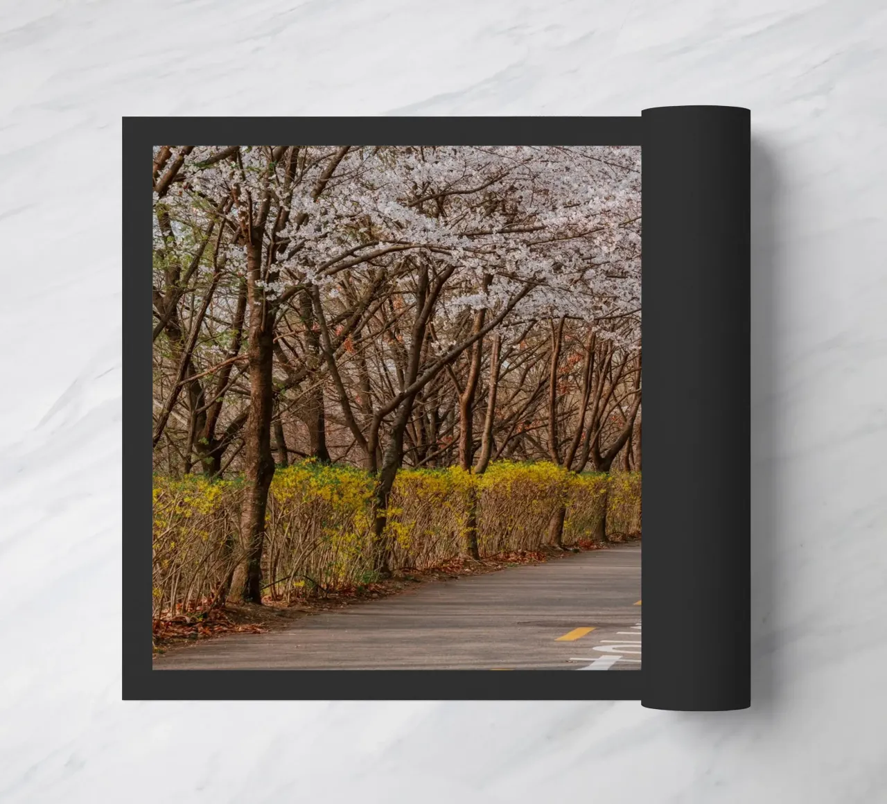 I ciliegi in fiore del Parco Haneul a Seul, Corea del Sud zerbino da mbgraphx2