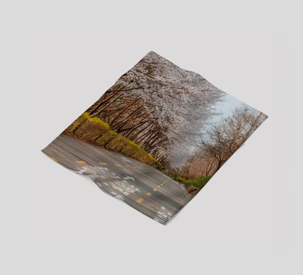 I ciliegi in fiore del Parco Haneul a Seul, Corea del Sud coperta in pile da mbgraphx2