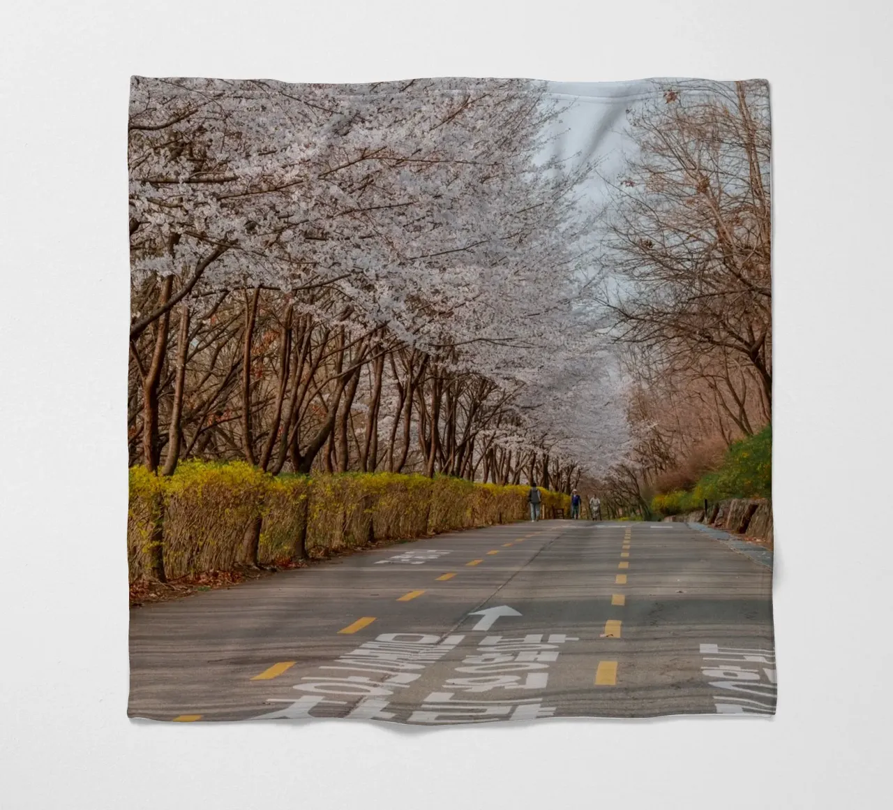 I ciliegi in fiore del Parco Haneul a Seul, Corea del Sud coperta in pile da mbgraphx2