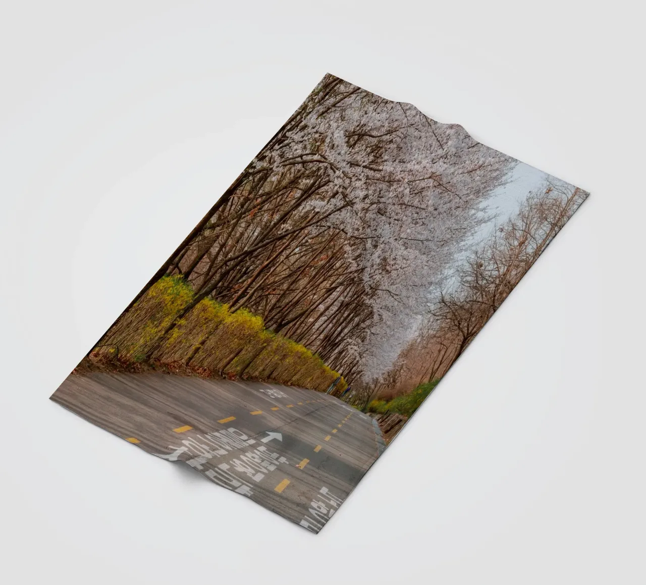 I ciliegi in fiore del Parco Haneul a Seul, Corea del Sud coperta in pile da mbgraphx2