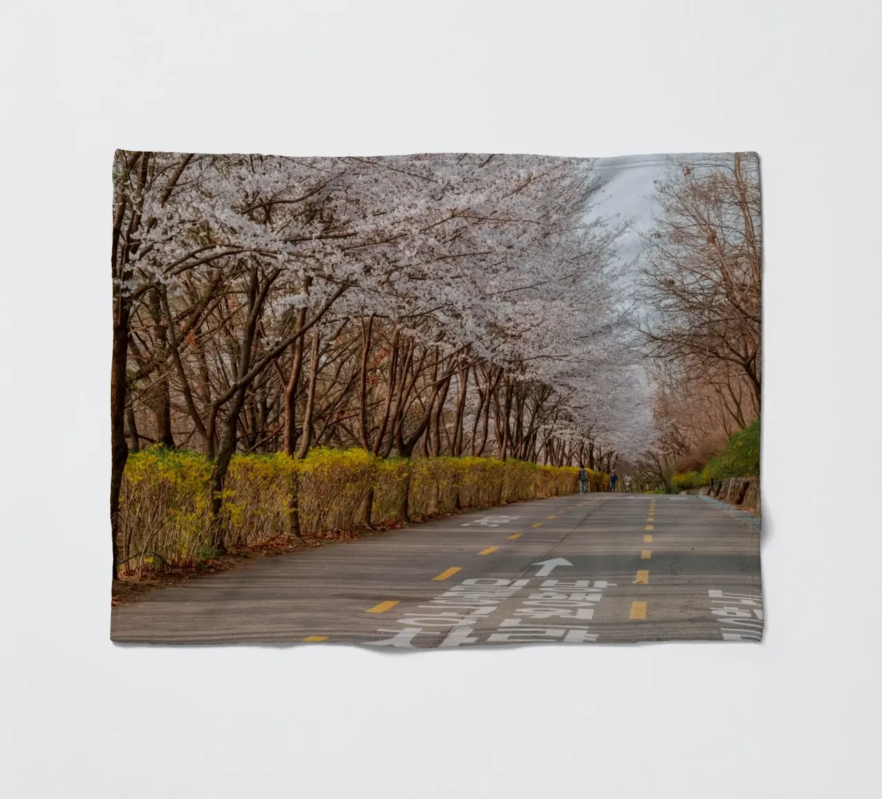 I ciliegi in fiore del Parco Haneul a Seul, Corea del Sud coperta in pile da mbgraphx2