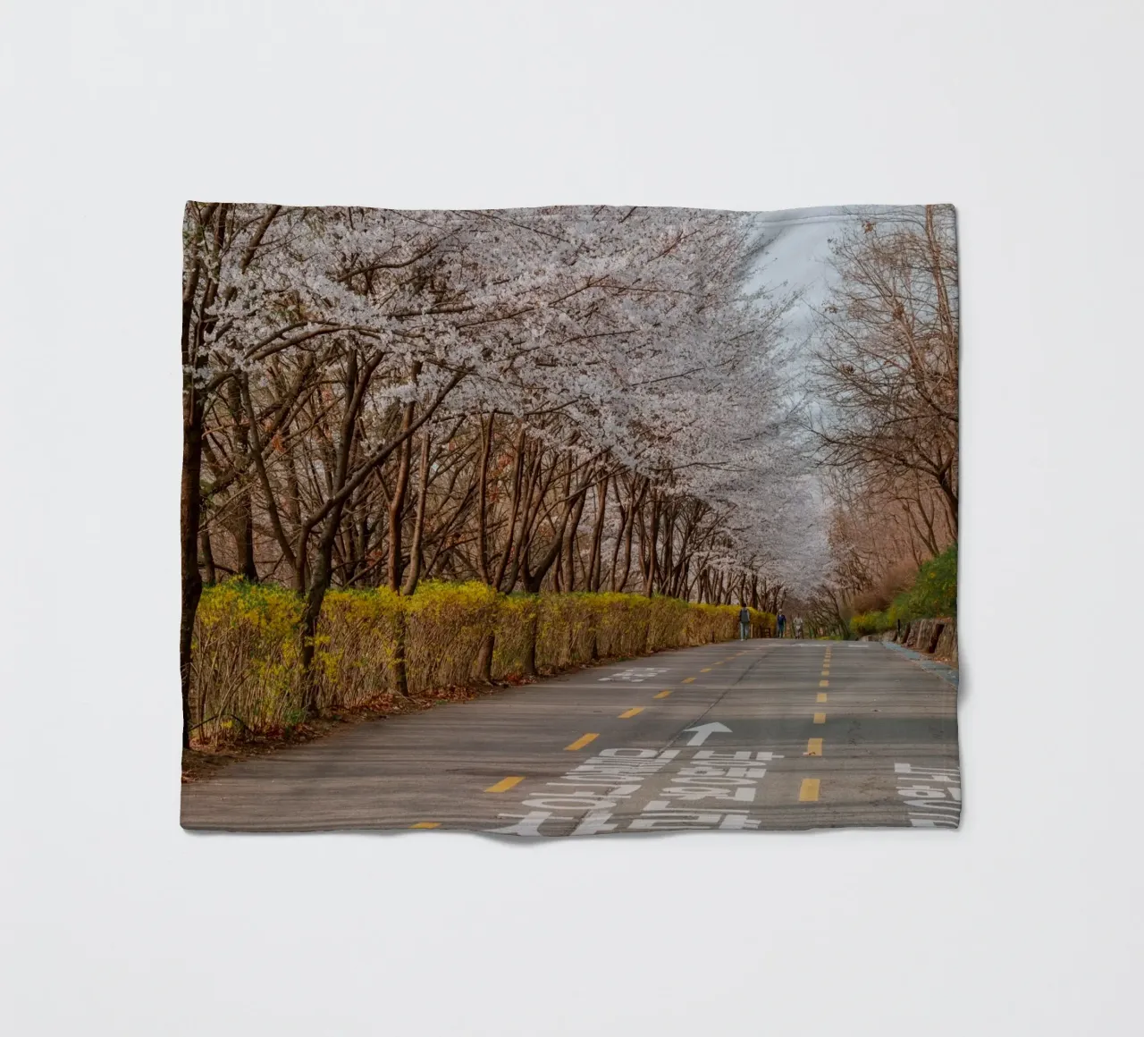 I ciliegi in fiore del Parco Haneul a Seul, Corea del Sud coperta in pile da mbgraphx2