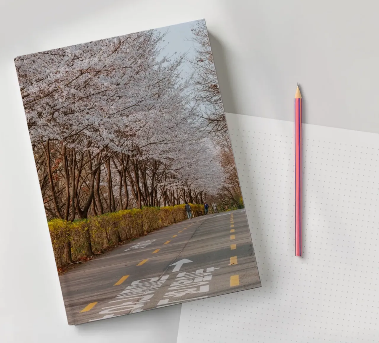 I ciliegi in fiore del Parco Haneul a Seul, Corea del Sud diario da mbgraphx2