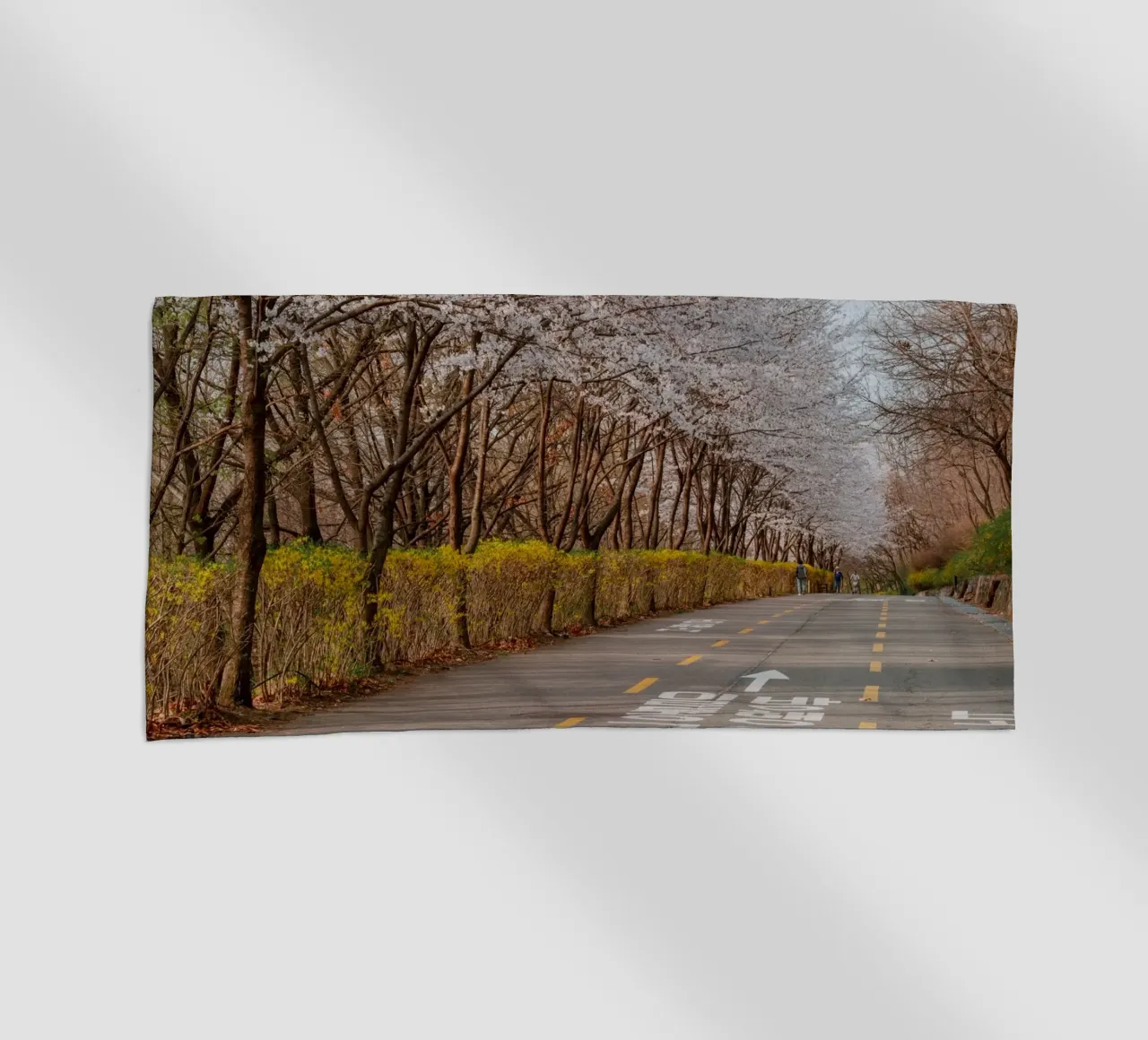 I ciliegi in fiore del Parco Haneul a Seul, Corea del Sud telo mare da mbgraphx2