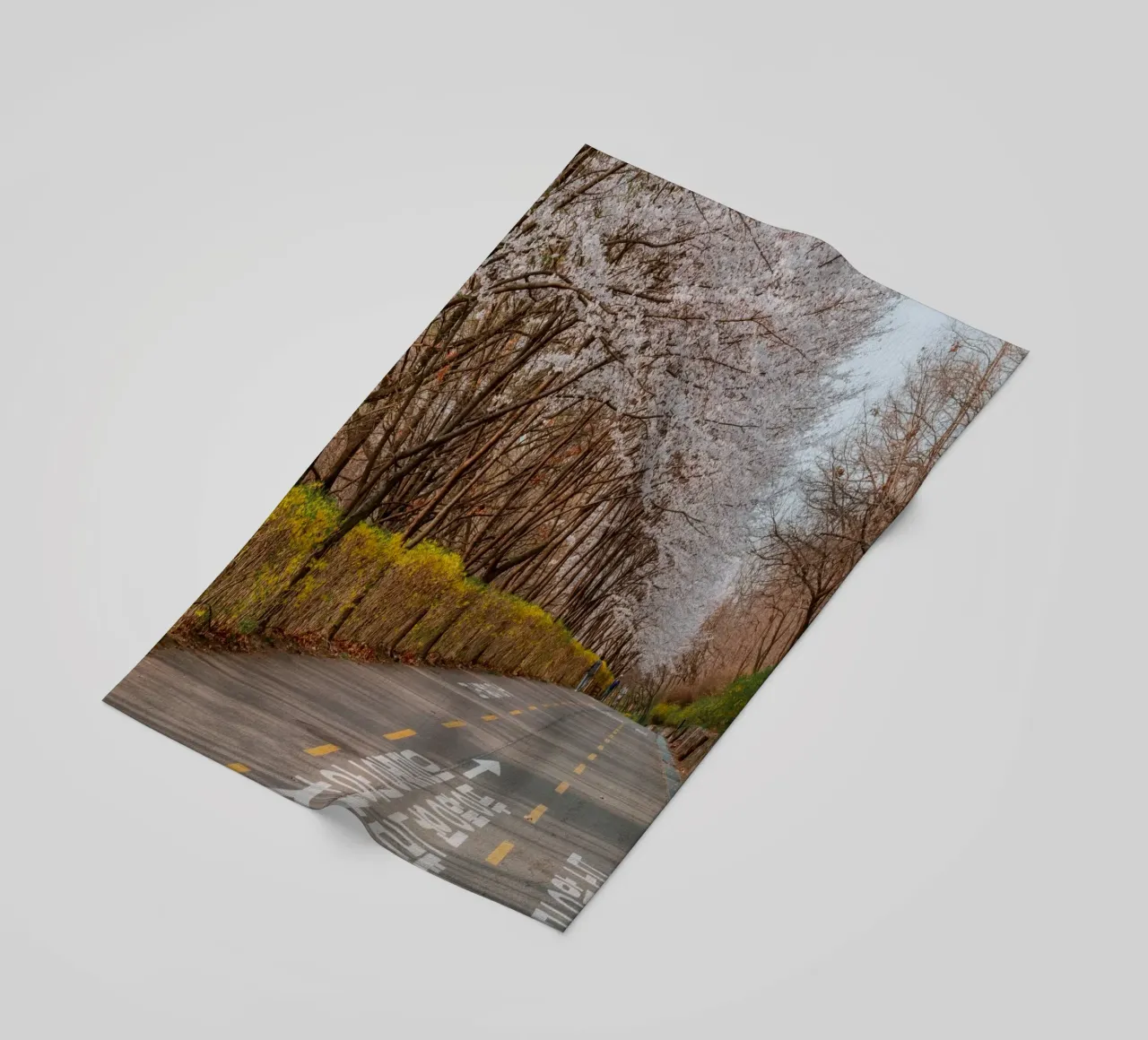 I ciliegi in fiore del Parco Haneul a Seul, Corea del Sud telo mare da mbgraphx2