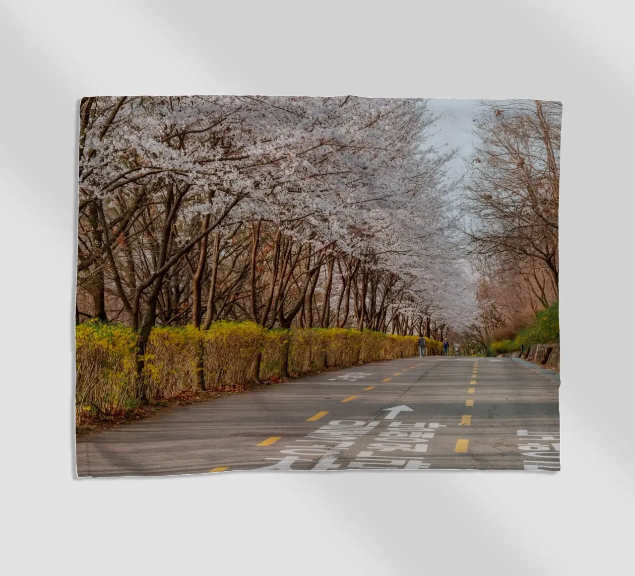 I ciliegi in fiore del Parco Haneul a Seul, Corea del Sud telo mare da mbgraphx2