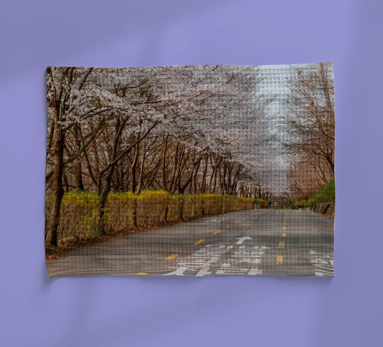 I ciliegi in fiore del Parco Haneul a Seul, Corea del Sud canovaccio da cucina da mbgraphx2