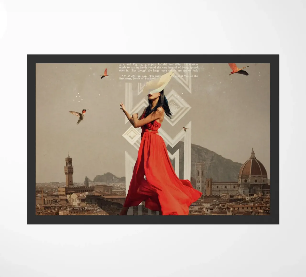 Bird Whisperer zerbino da Frank Moth