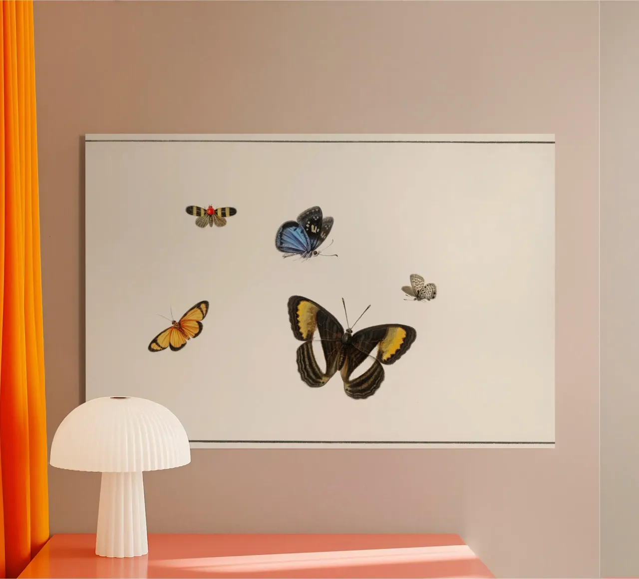 Five butterflies plexiglass da artshop