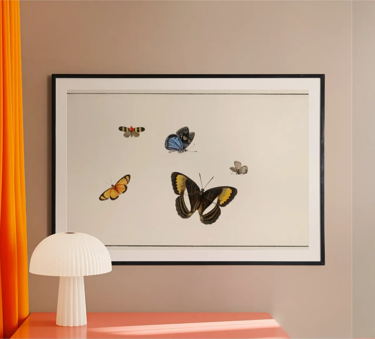 Five butterflies poster da artshop