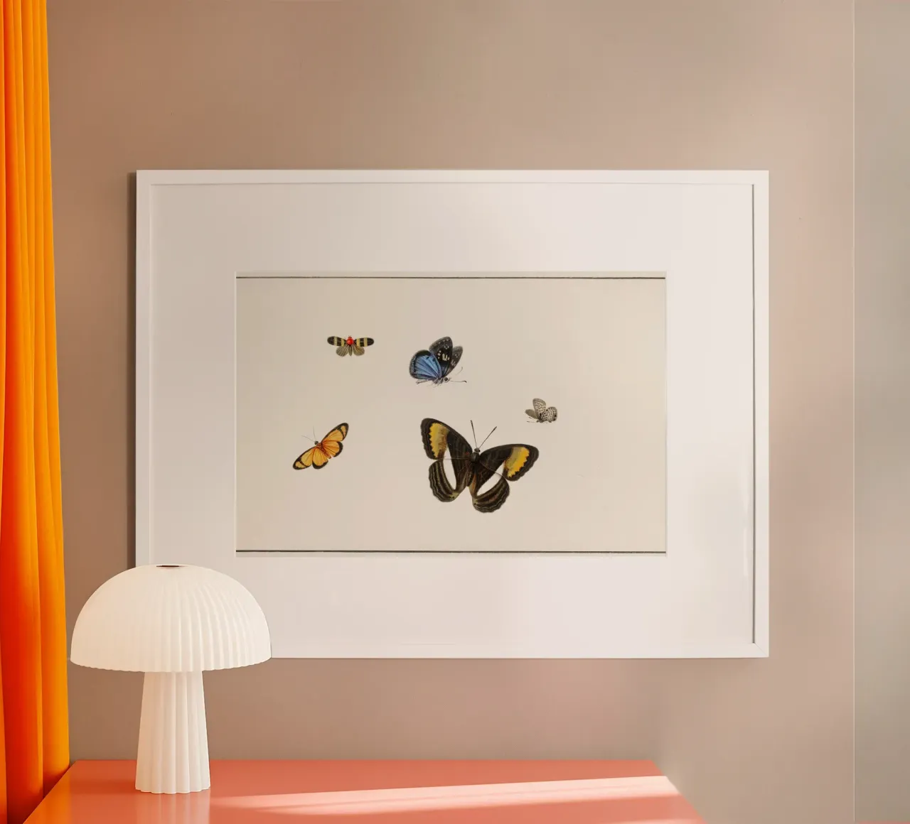 Five butterflies poster da artshop