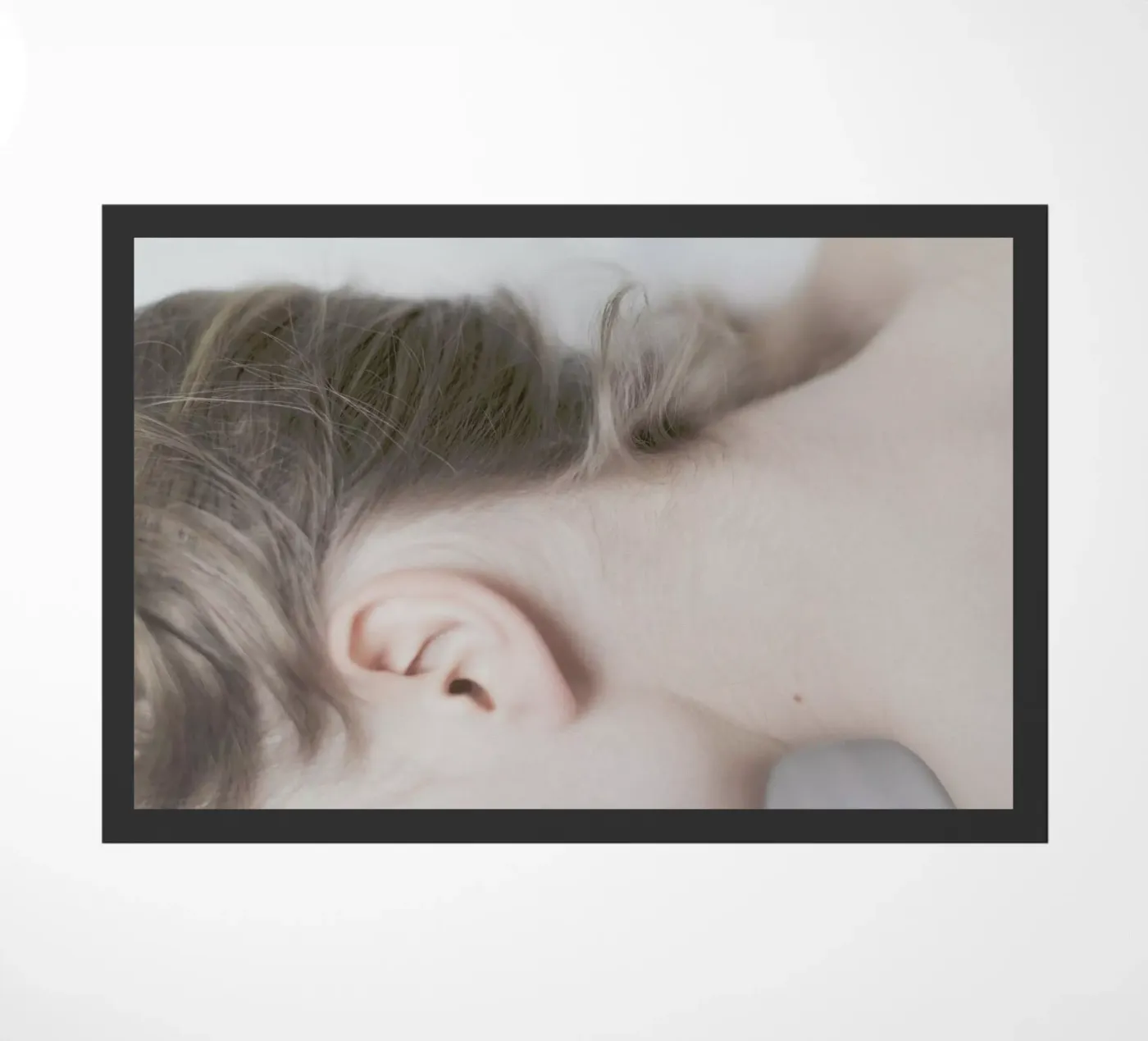 The Silkmoth 5 zerbino da Paul Aidan Perry