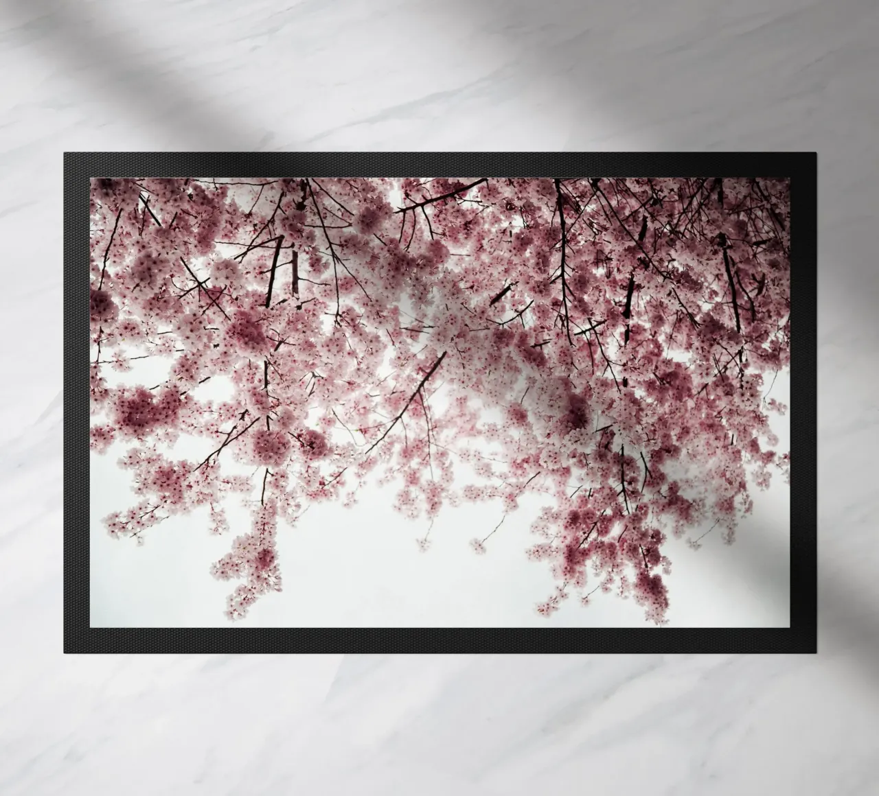 Spring Cherry Blossoms zerbino da wowhannahphotos