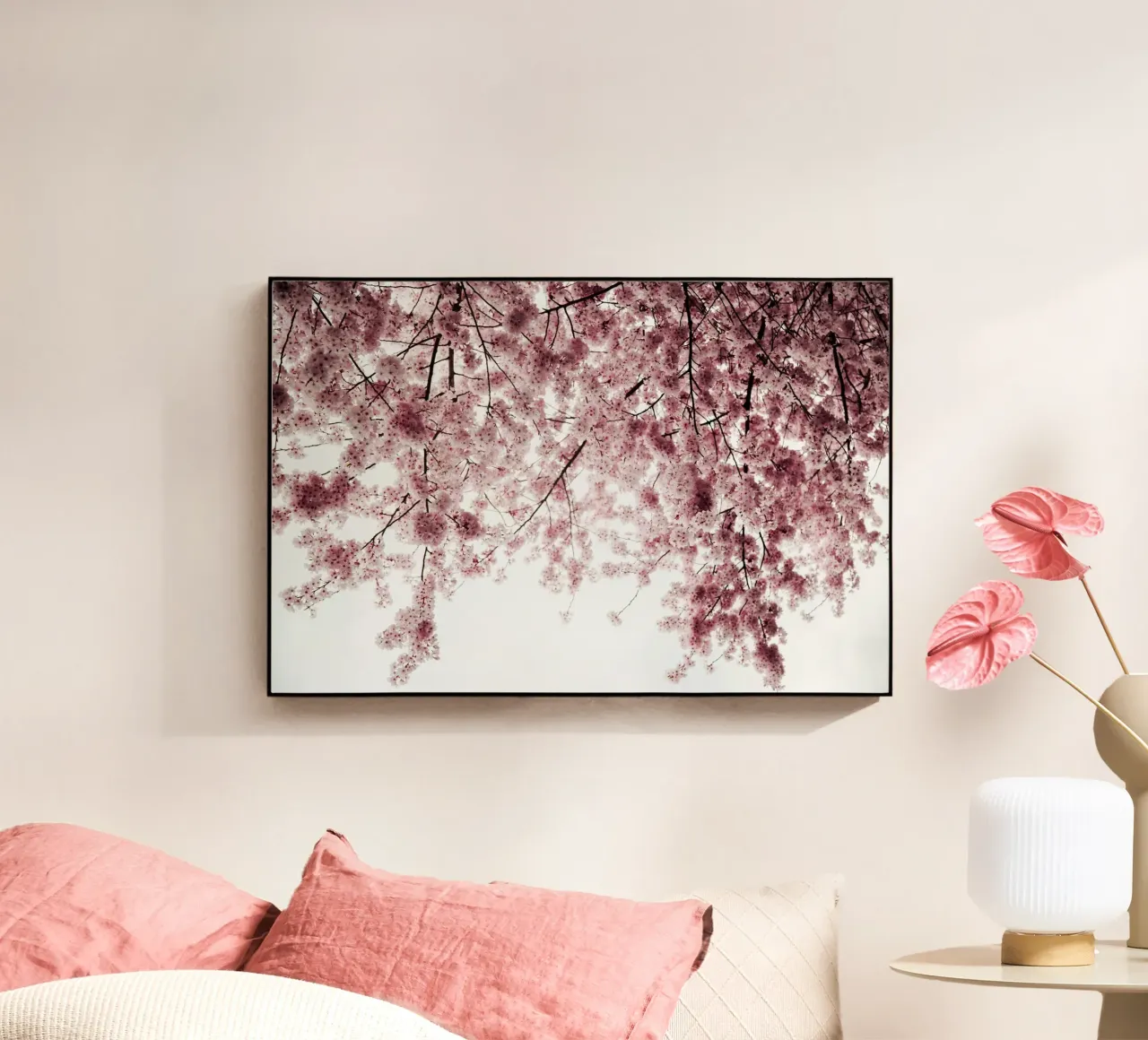 Spring Cherry Blossoms plexiglass da wowhannahphotos