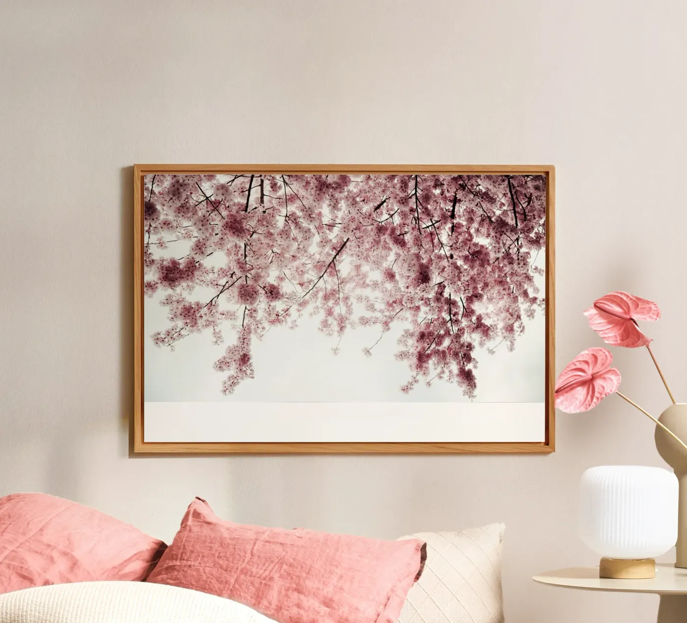 Spring Cherry Blossoms forex plate by wowhannahphotos