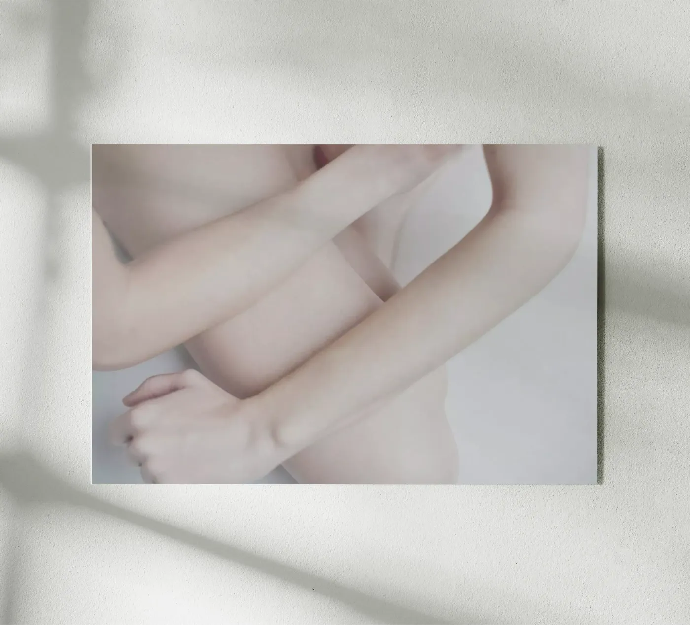 The Silkmoth 11 plexiglass da Paul Aidan Perry