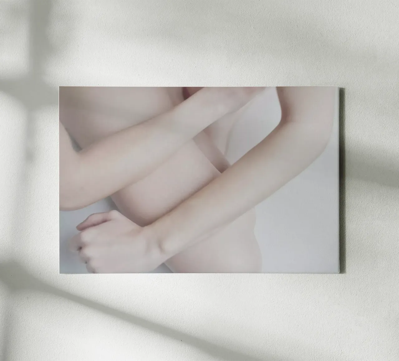 The Silkmoth 11 tela con Cornice a cassetta da Paul Aidan Perry