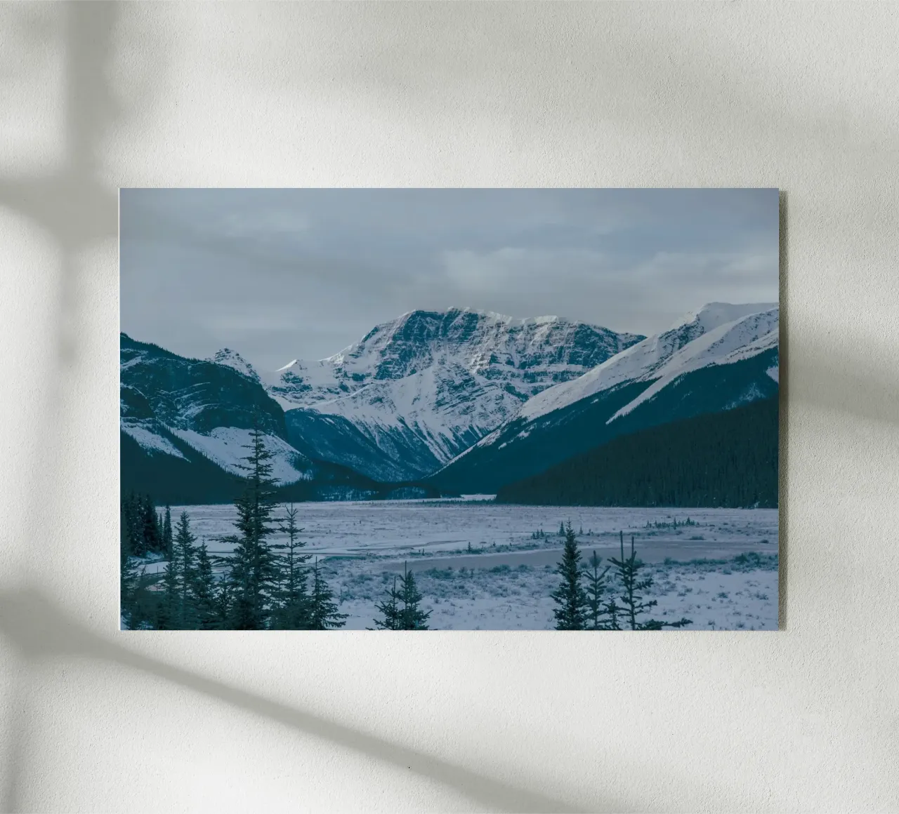 Winters Ago plexiglass da wowhannahphotos