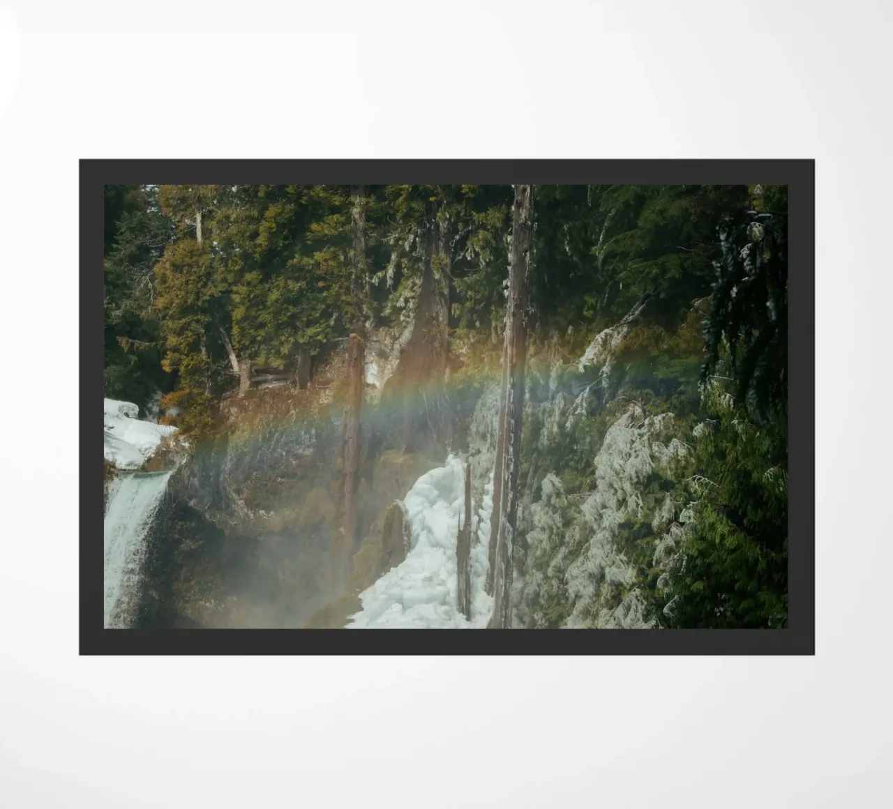 Frozen Rainbow zerbino da wowhannahphotos