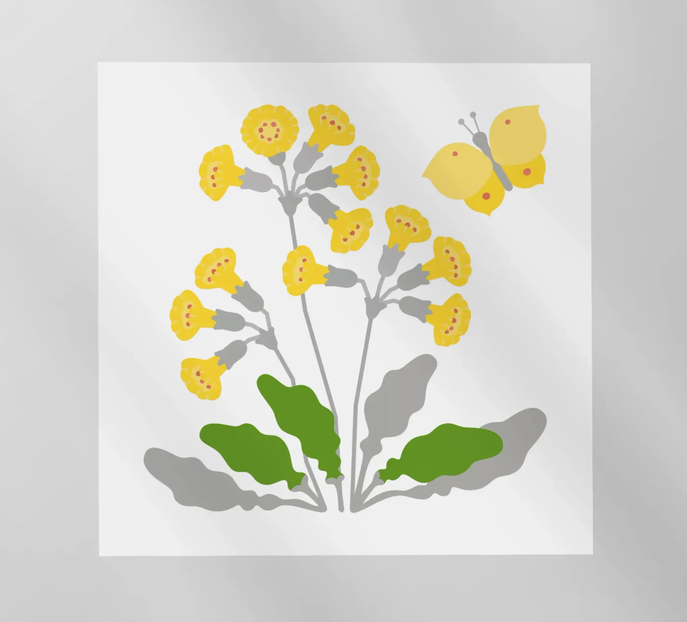 Cowslip pellicola backlit da Lidia Blomgren