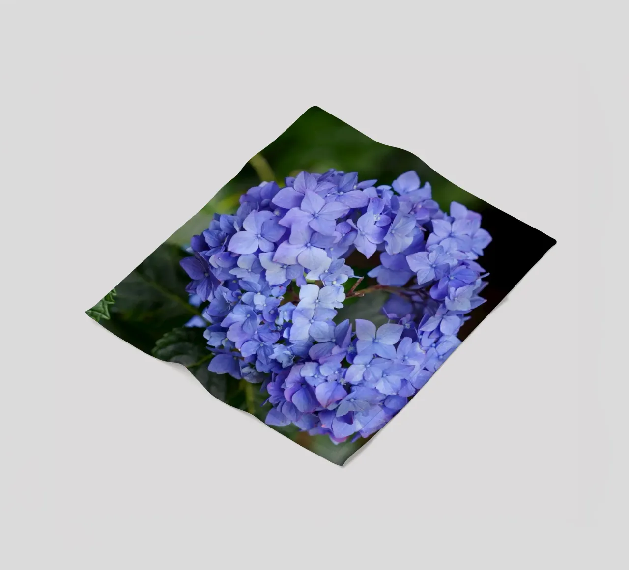 Serenity in Bloom coperta in pile da somewhere.soul.escape