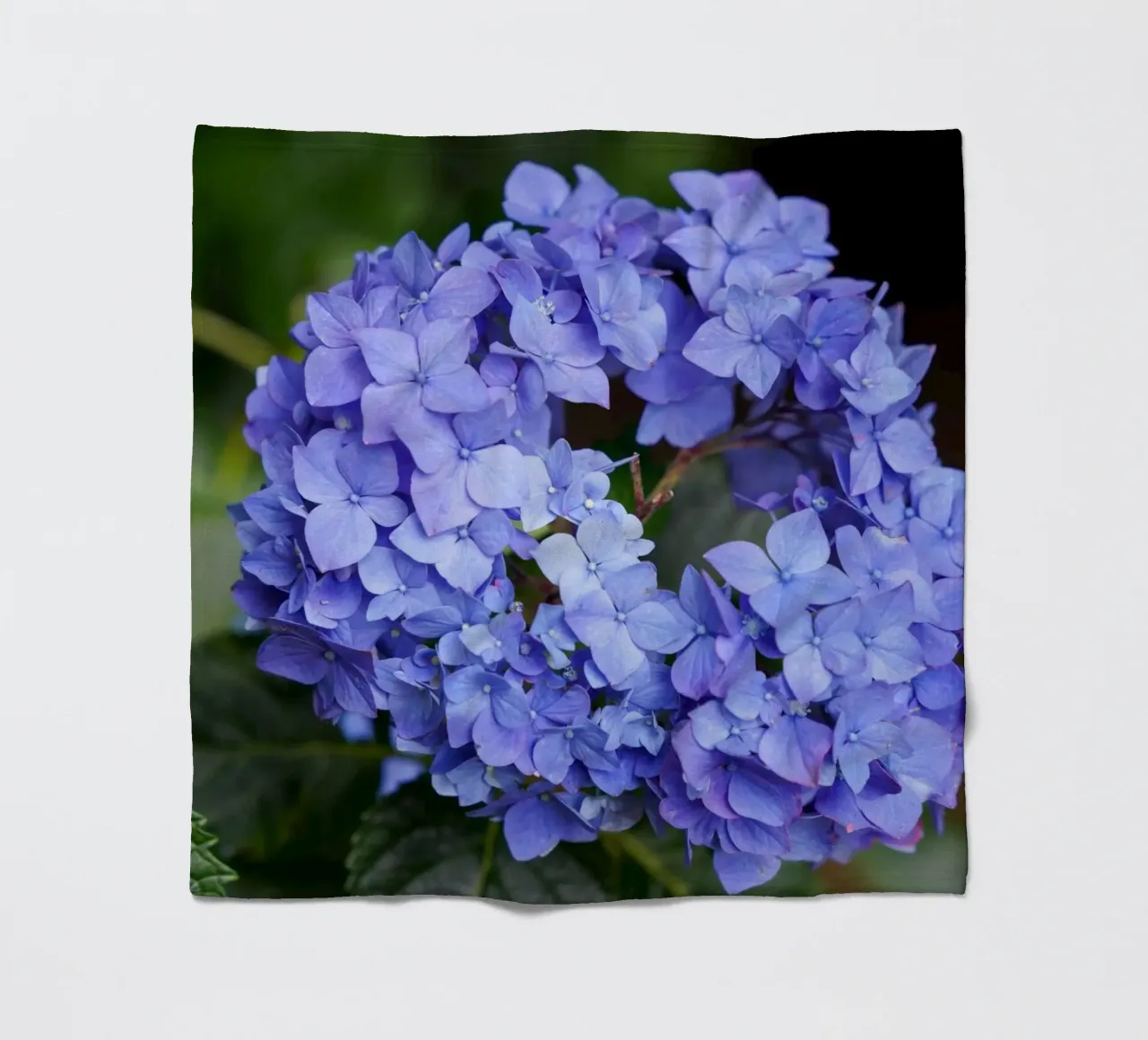 Serenity in Bloom coperta in pile da somewhere.soul.escape