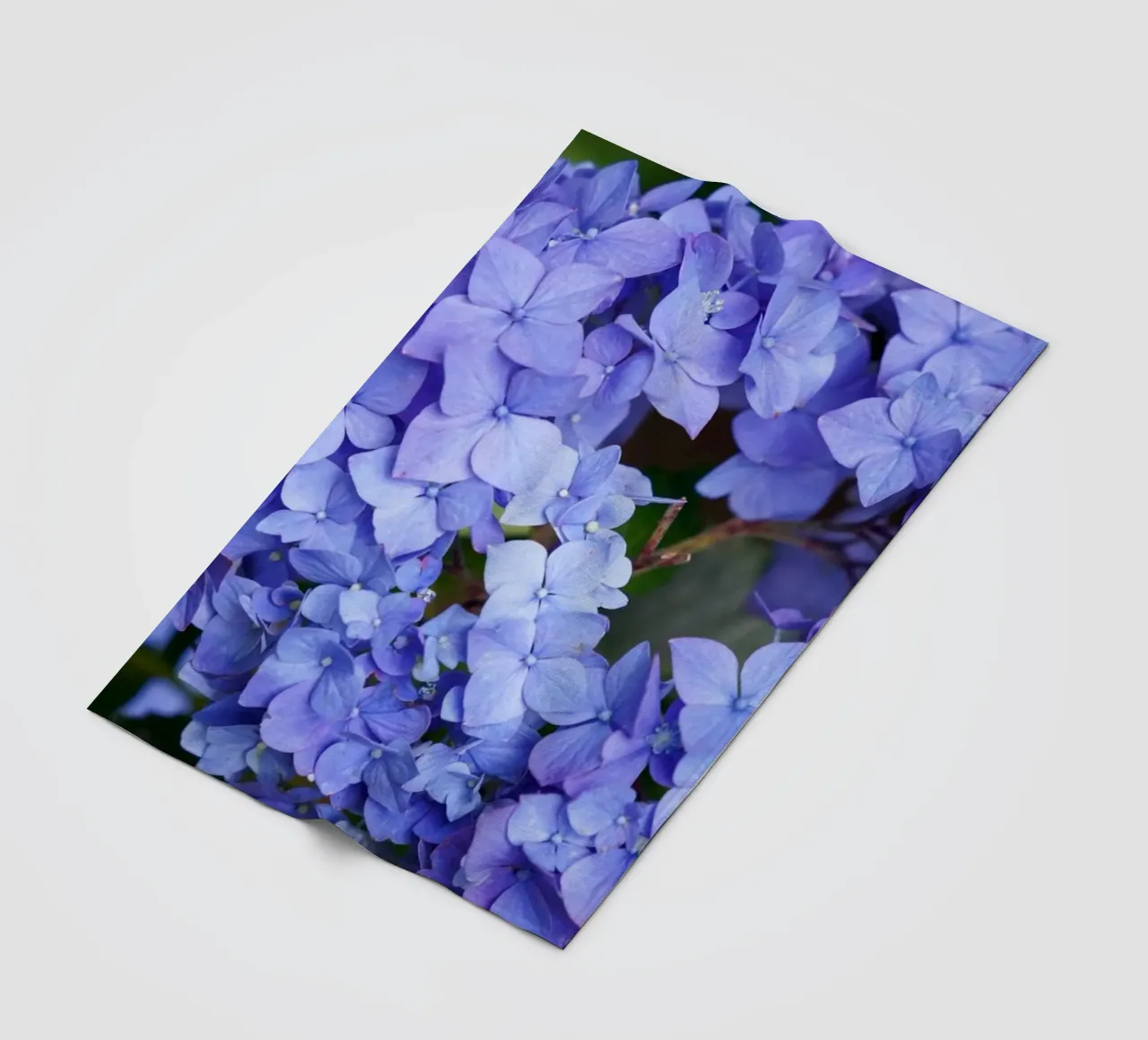 Serenity in Bloom coperta in pile da somewhere.soul.escape