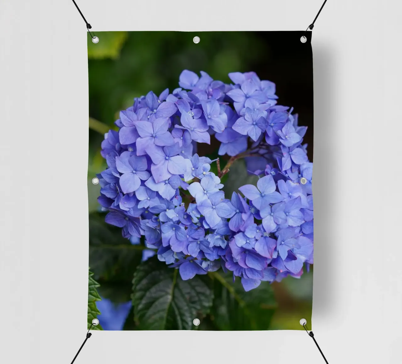 Serenity in Bloom telo in pvc da somewhere.soul.escape