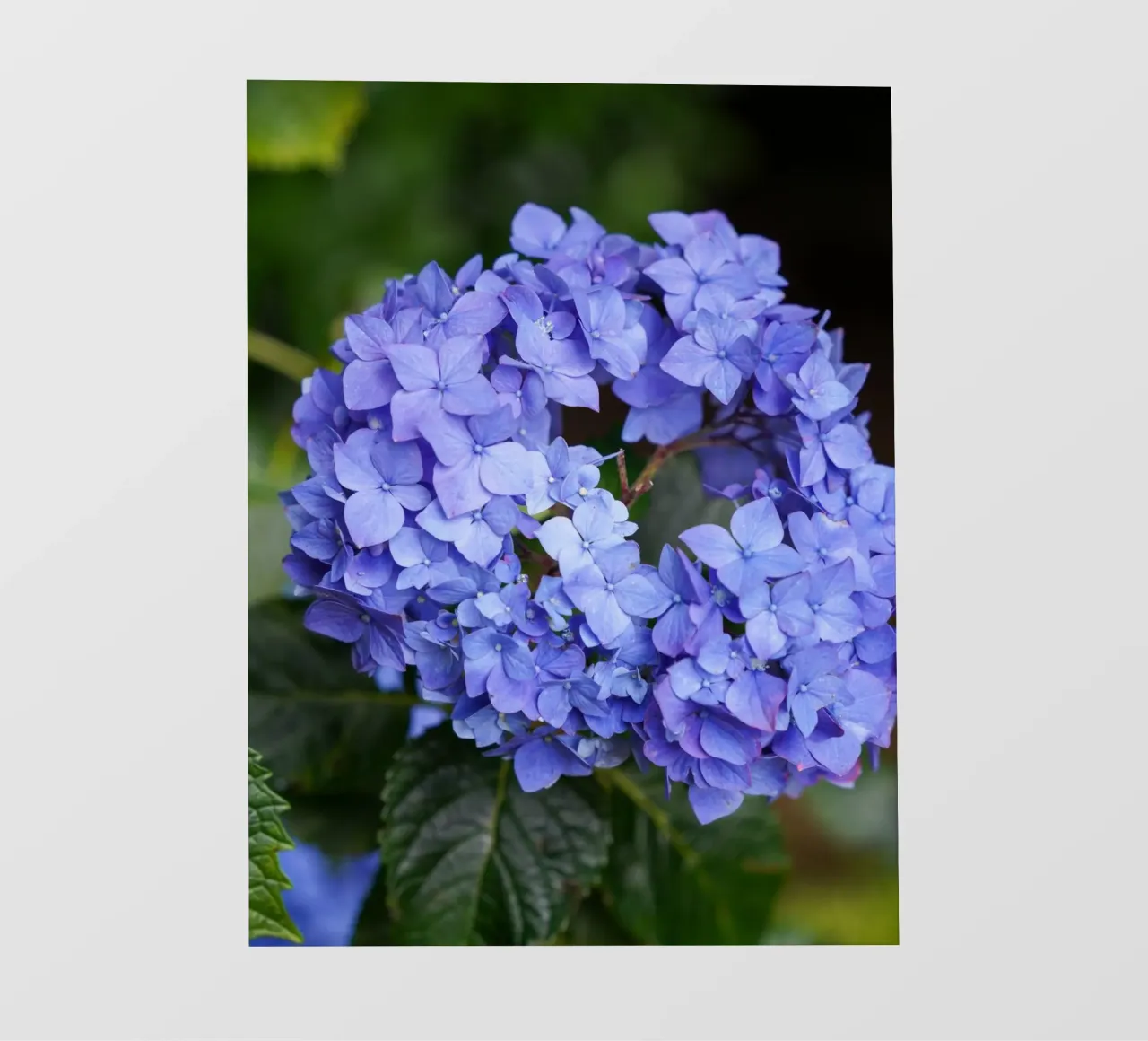 Serenity in Bloom telo in pvc da somewhere.soul.escape