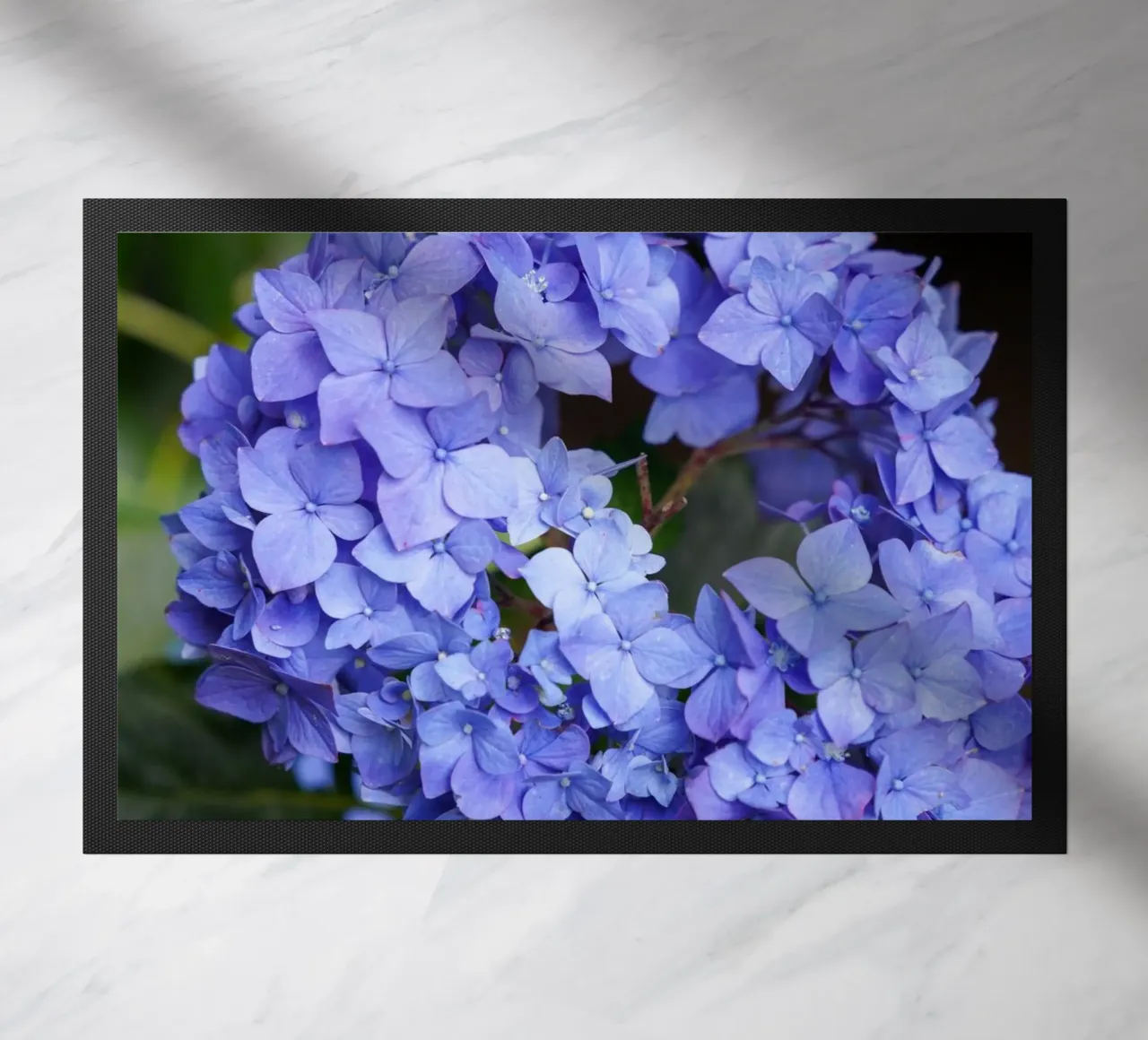 Serenity in Bloom zerbino da somewhere.soul.escape