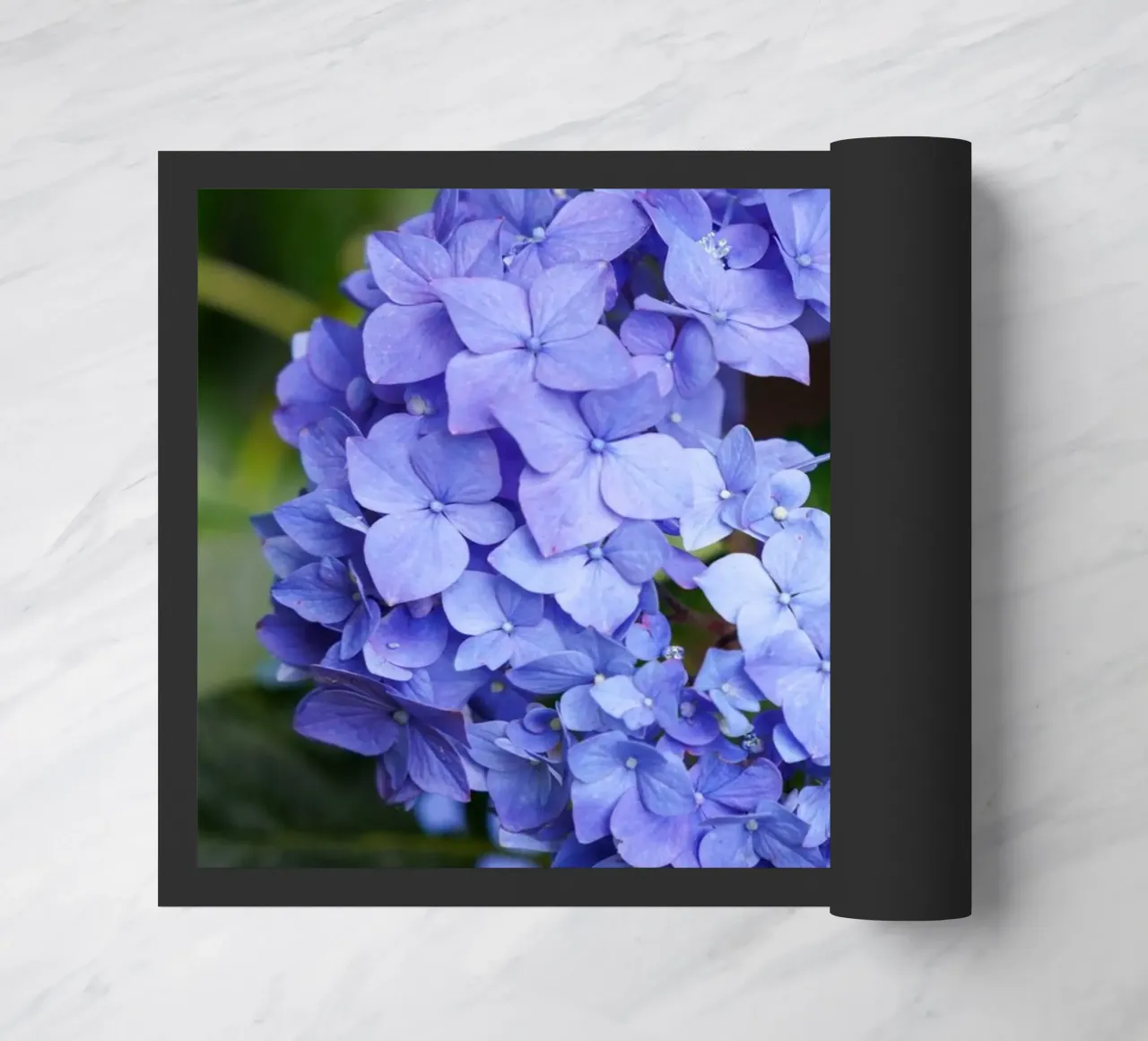 Serenity in Bloom zerbino da somewhere.soul.escape