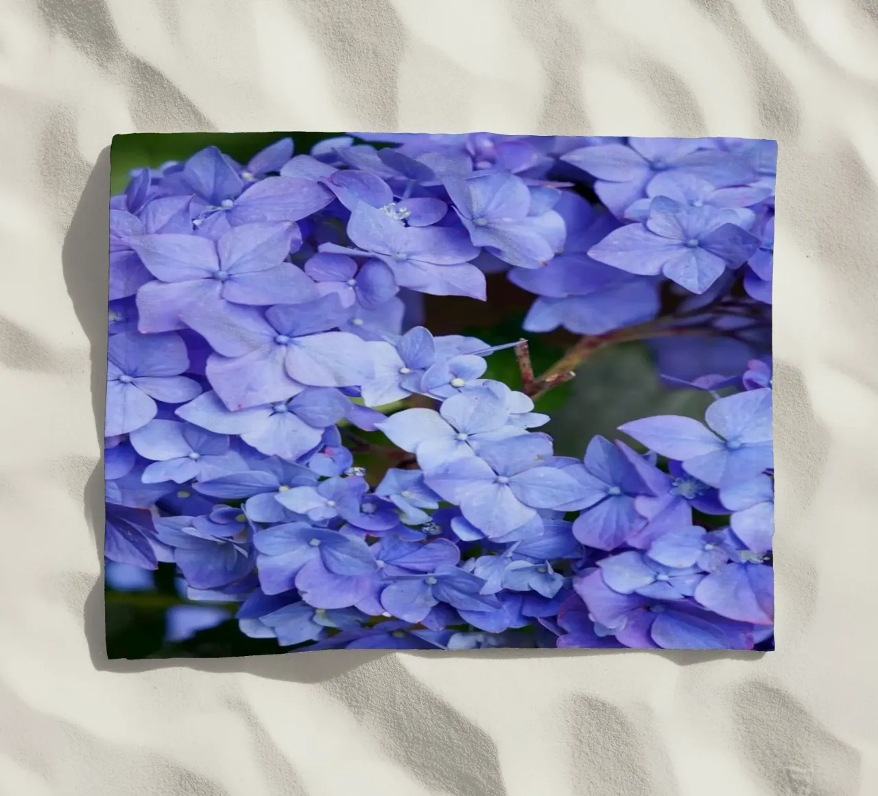 Serenity in Bloom telo mare da somewhere.soul.escape