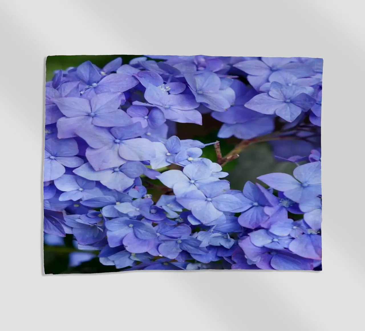 Serenity in Bloom telo mare da somewhere.soul.escape