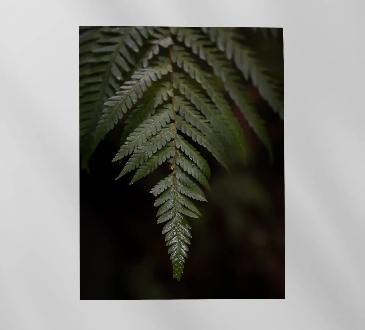 Essence of Stillness pellicola backlit da somewhere.soul.escape