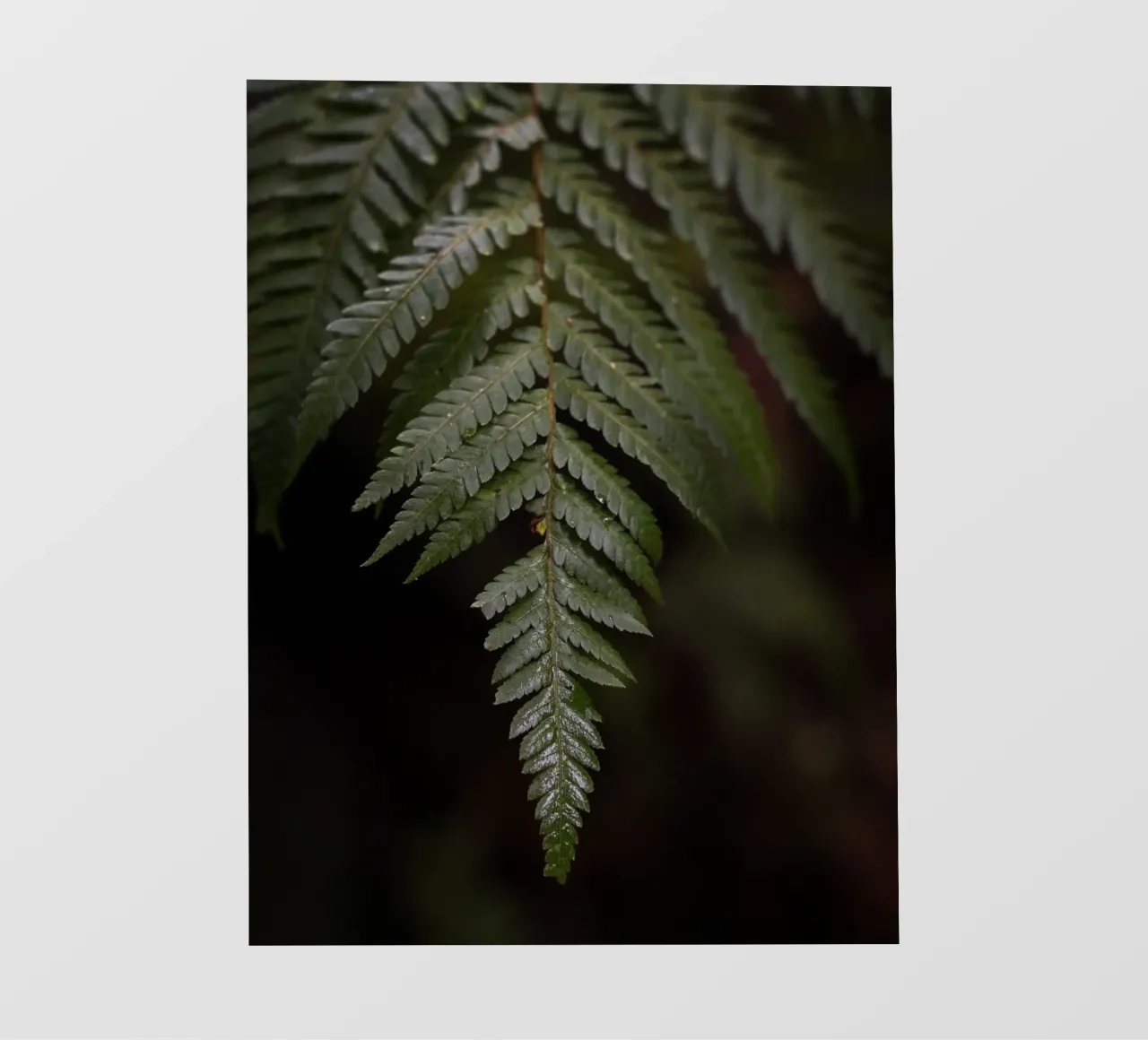 Essence of Stillness telo in pvc da somewhere.soul.escape