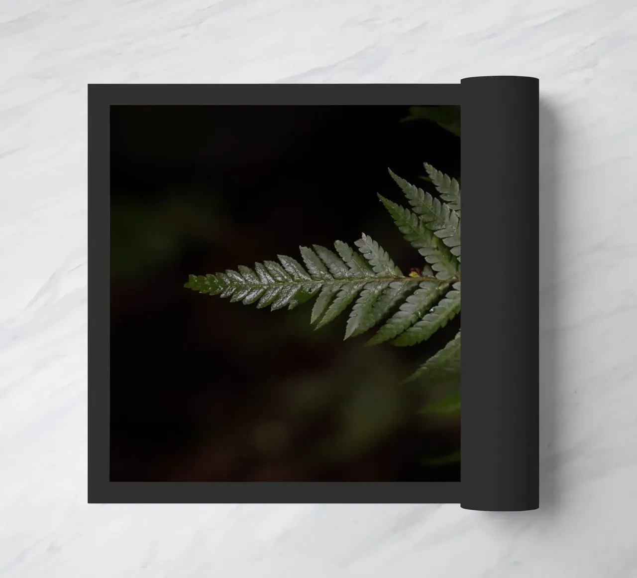 Essence of Stillness zerbino da somewhere.soul.escape