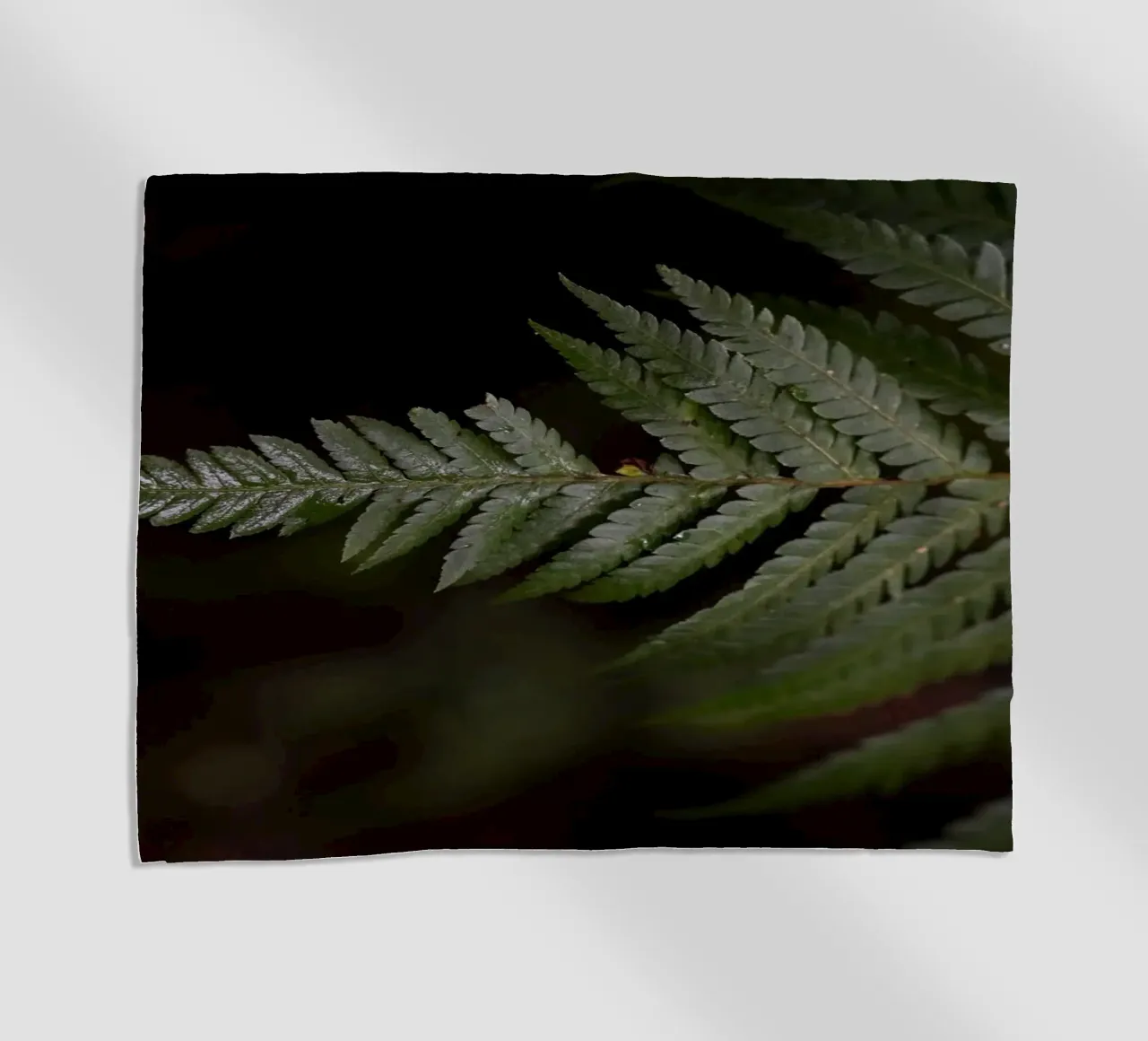 Essence of Stillness telo mare da somewhere.soul.escape