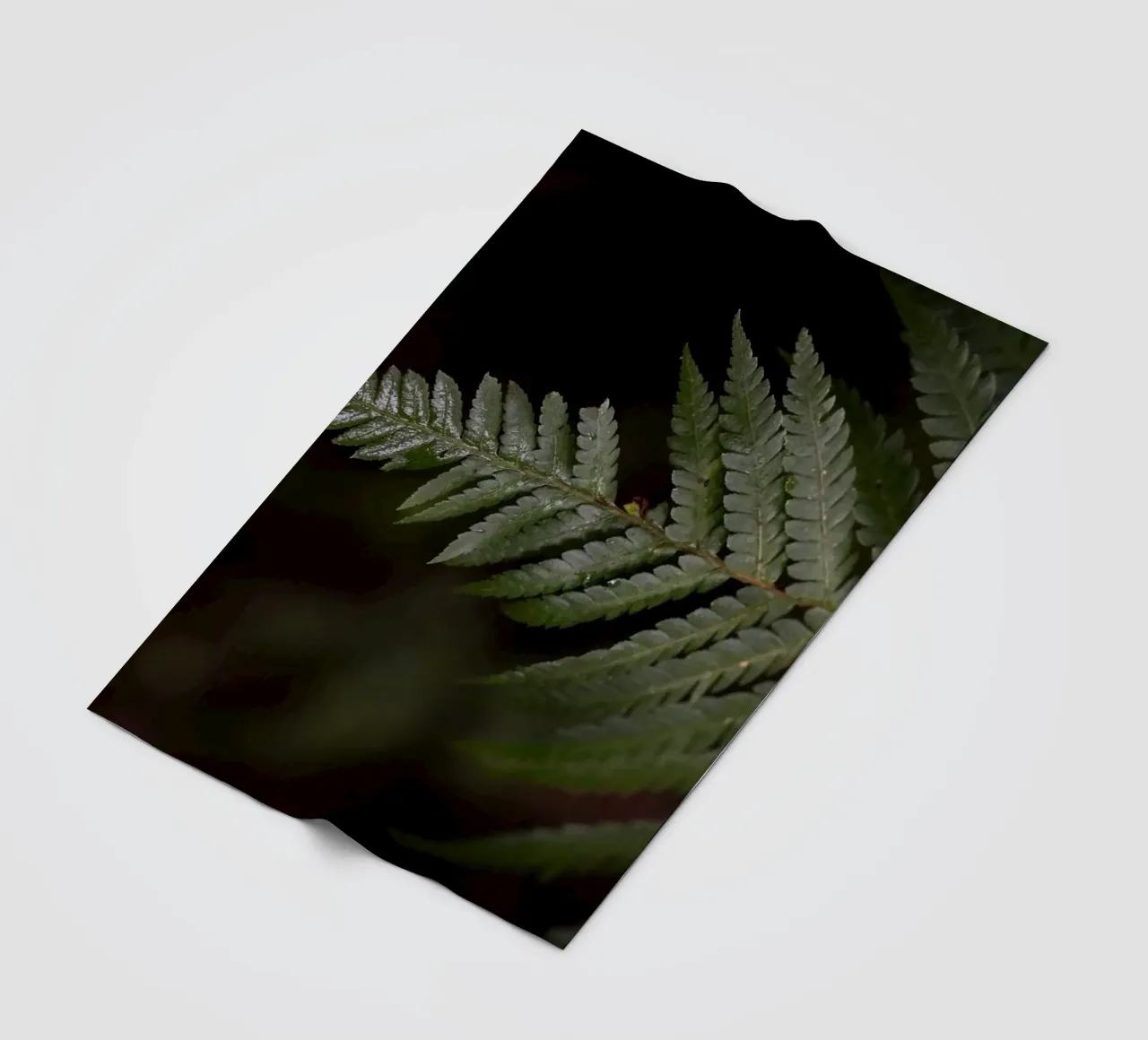 Essence of Stillness coperta in pile da somewhere.soul.escape