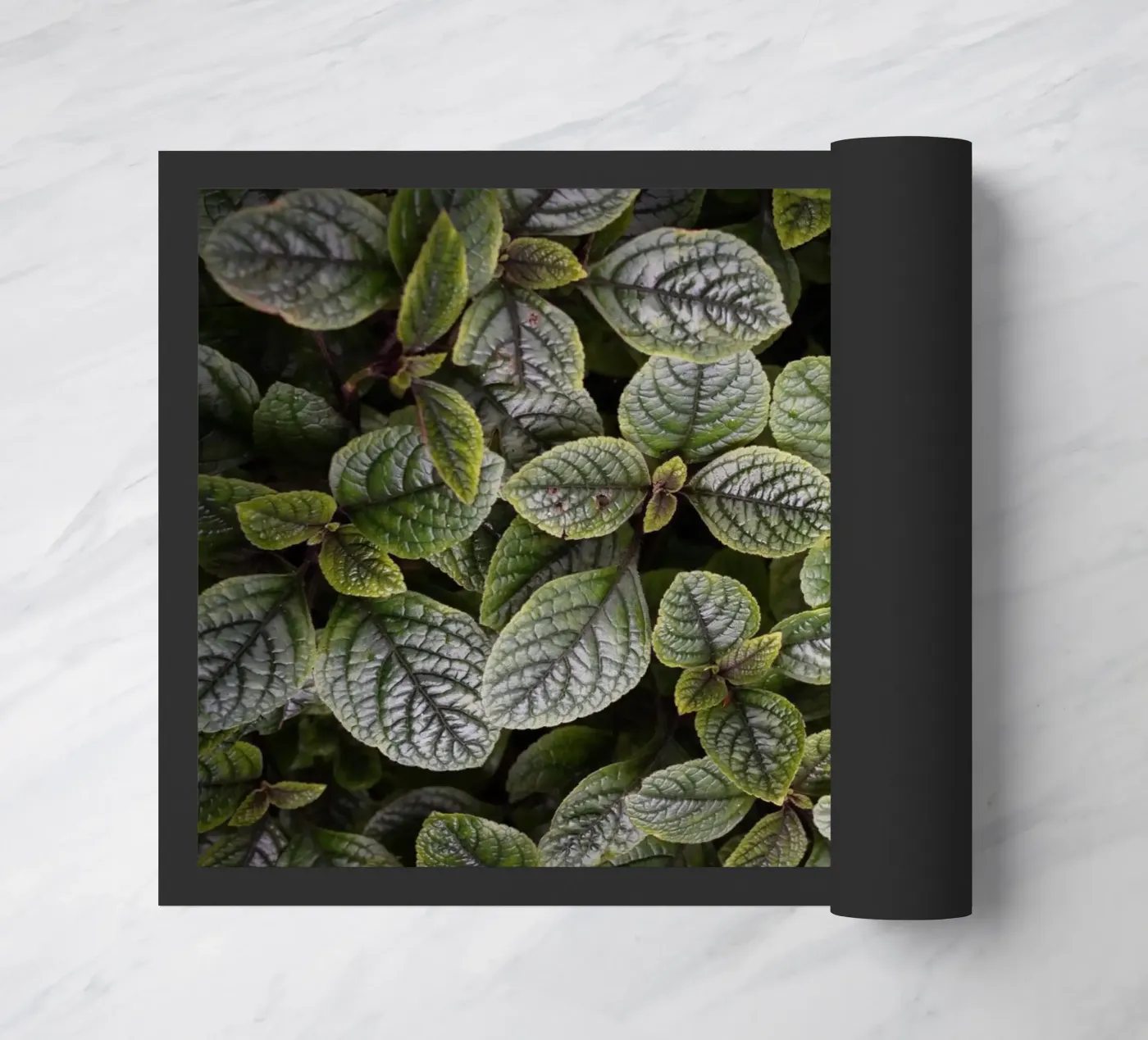 Leaf Symphony paillasson de somewhere.soul.escape