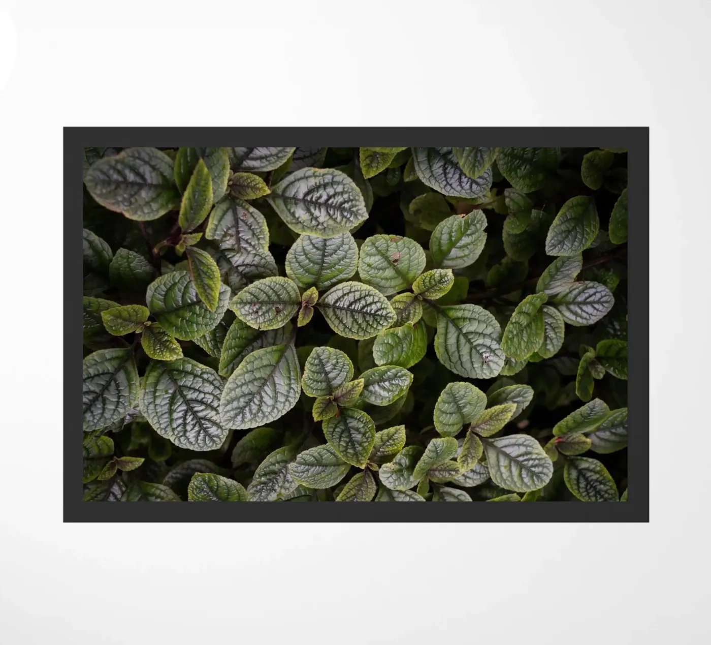 Leaf Symphony paillasson de somewhere.soul.escape