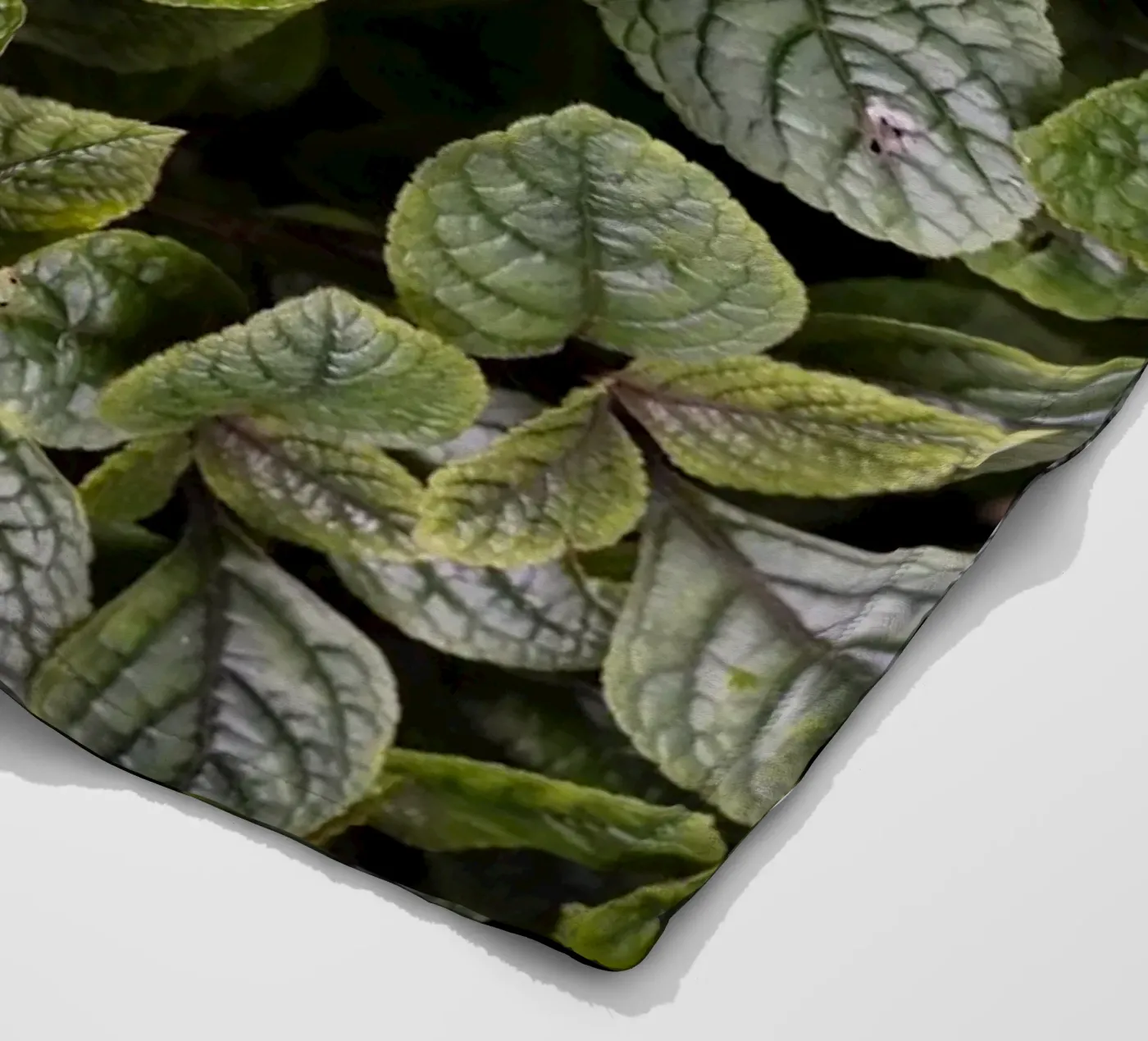 Leaf Symphony Fleecedecke von somewhere.soul.escape