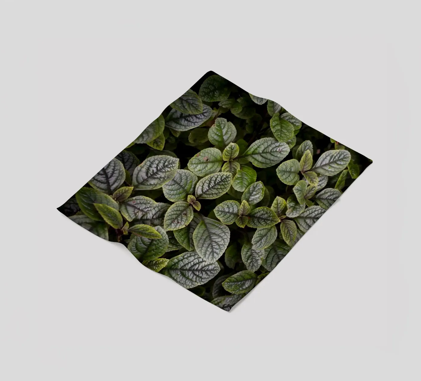 Leaf Symphony Fleecedecke von somewhere.soul.escape